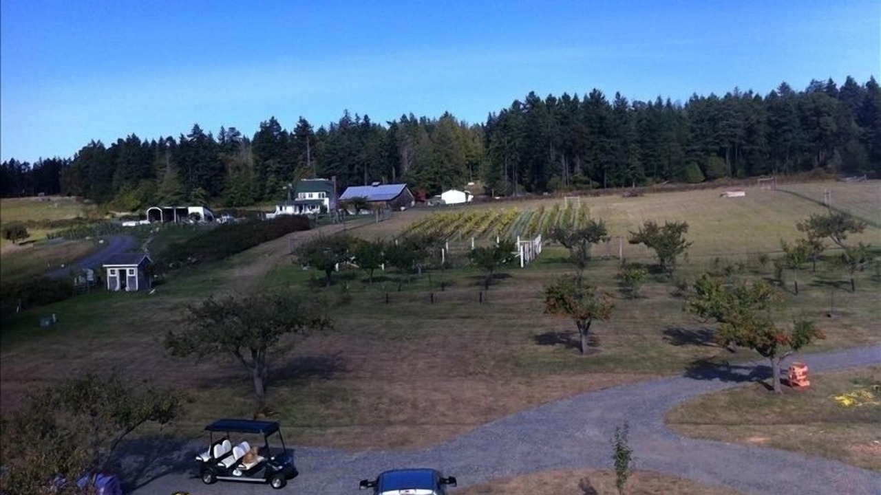 Photo of Outdoor in Roche Harbor