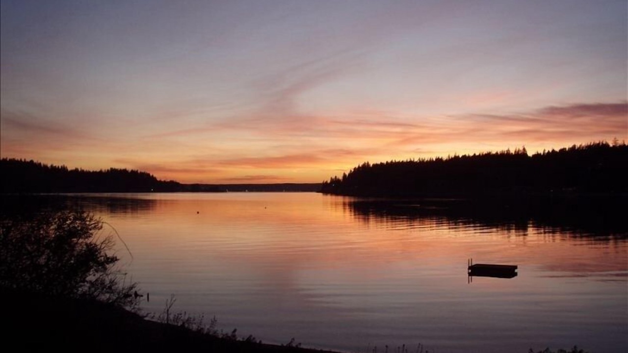 Photo of Others in Bainbridge Island