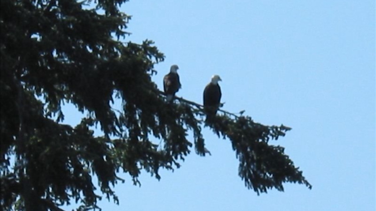 Photo of Others in Bainbridge Island