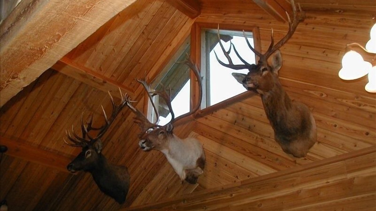 Photo of Others in Kettle Falls