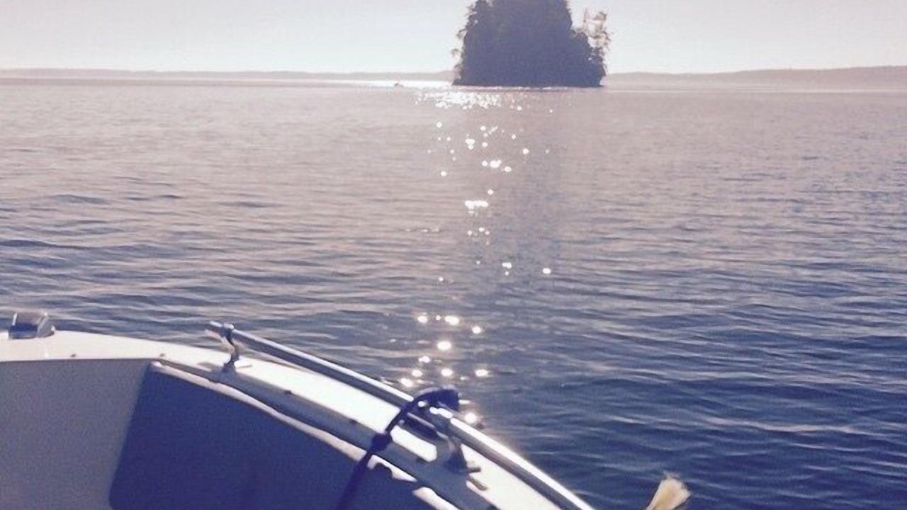 Photo of Others in Anderson Island
