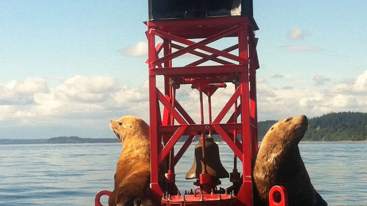 Photo of Others in Anderson Island