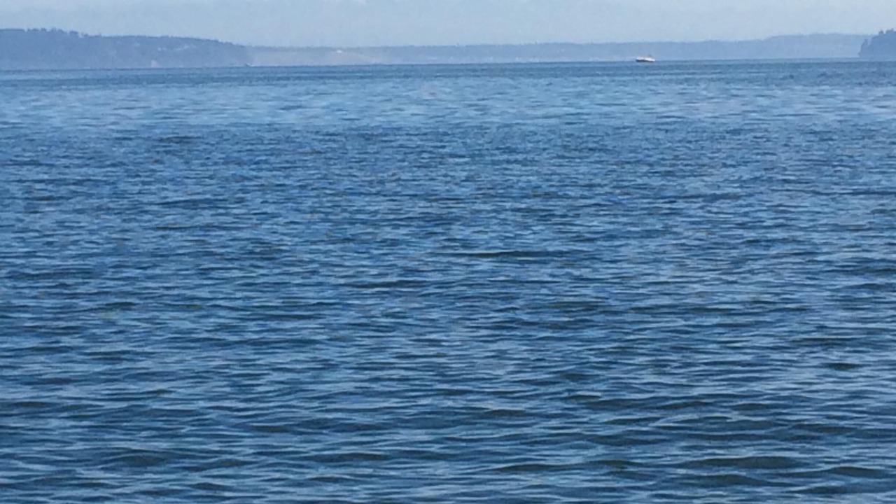 Photo of Others in Anderson Island