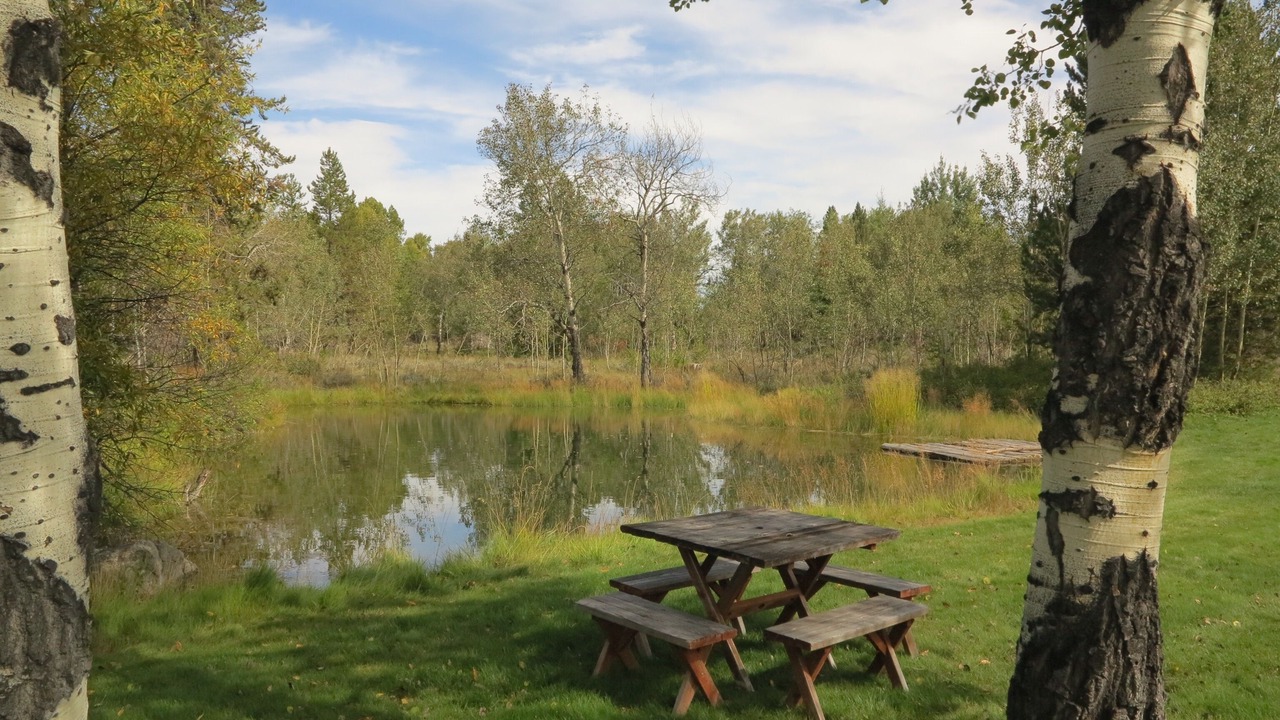 Photo of Outdoor in John Dodge