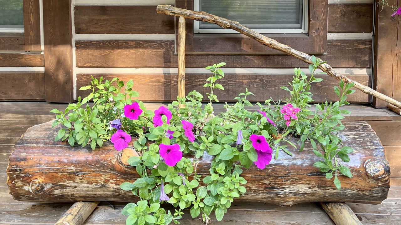 Photo of Outdoor in McCall