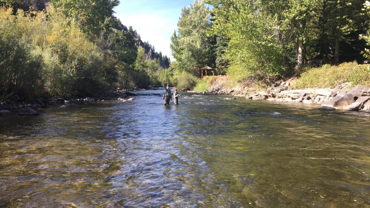 Photo of Others in Ketchum