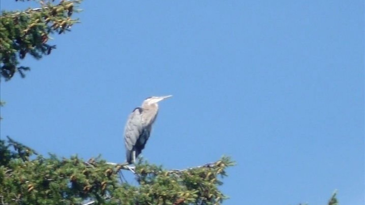 Photo of Others in Coupeville
