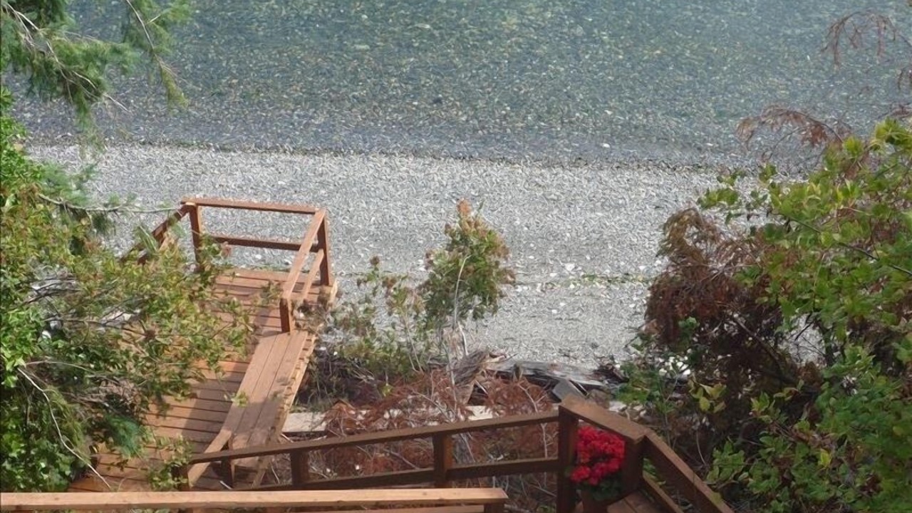 Photo of Others in Coupeville