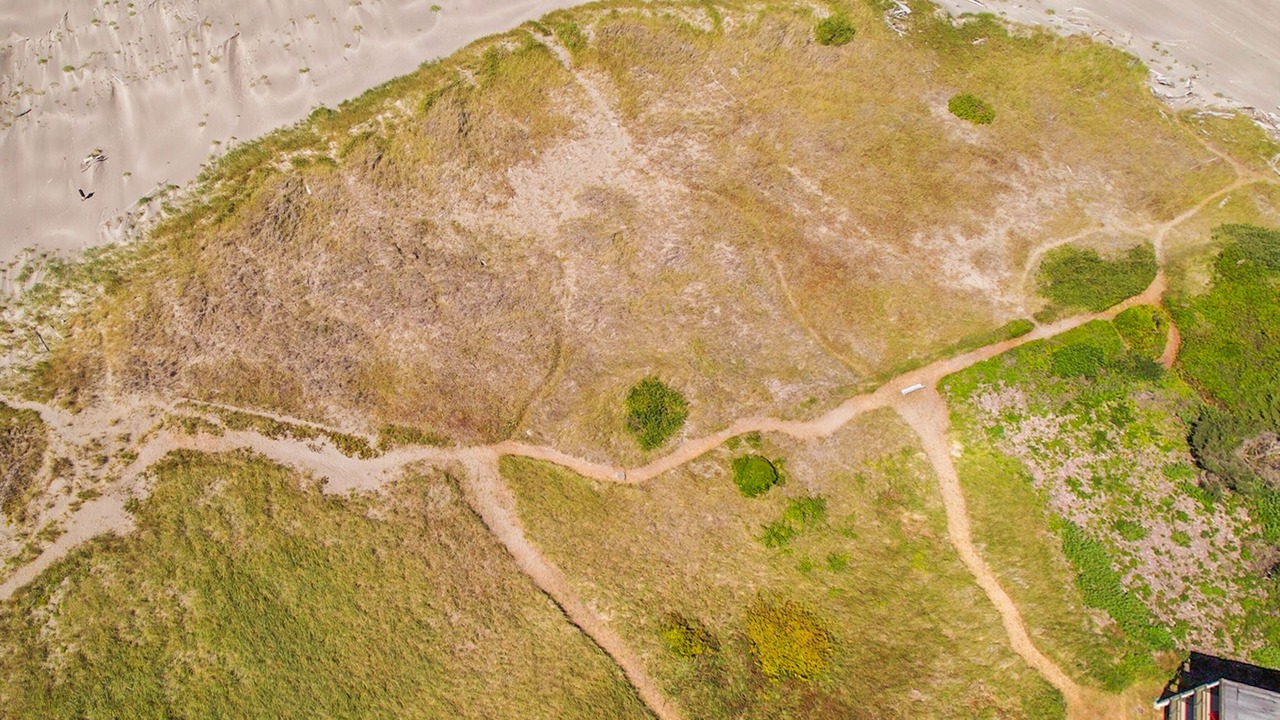 Photo of Outdoor in Moclips