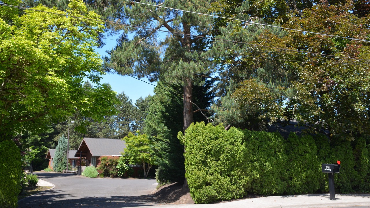 Photo of Outdoor in Cedar Hills