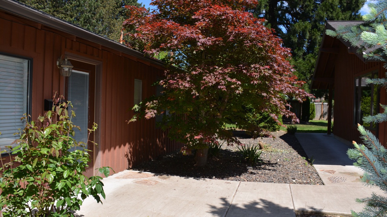 Photo of Outdoor in Cedar Hills
