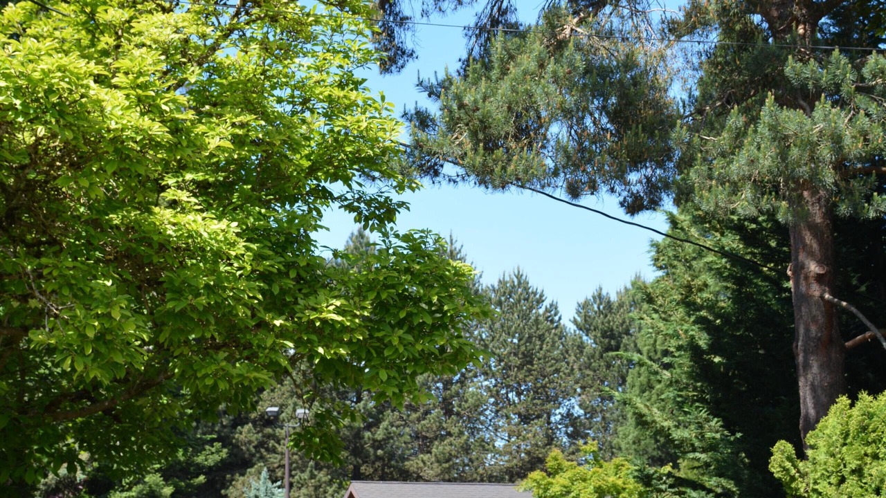 Photo of Outdoor in Cedar Hills