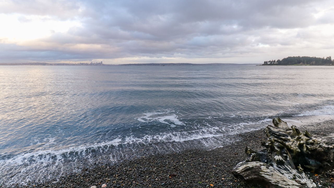 Photo of Others in Bainbridge Island