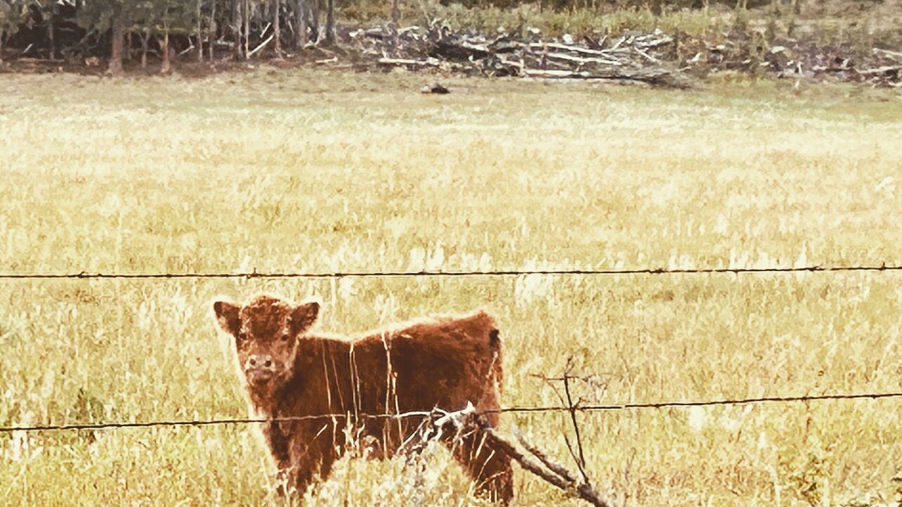 Photo of Outdoor in Chewelah