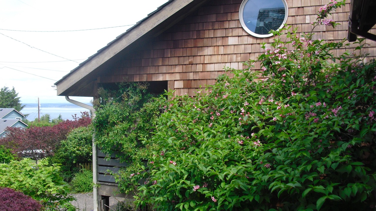 Photo of Outdoor in Port Townsend