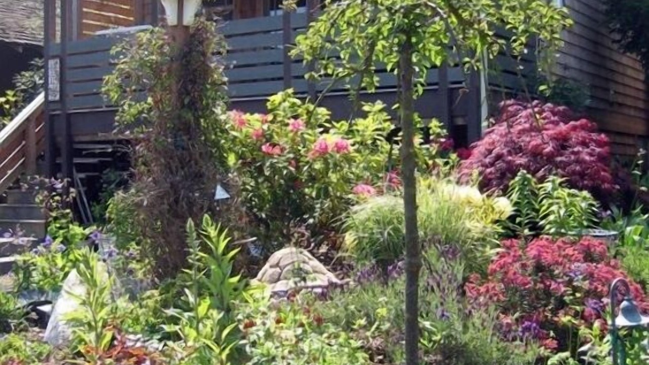 Photo of Outdoor in Port Townsend