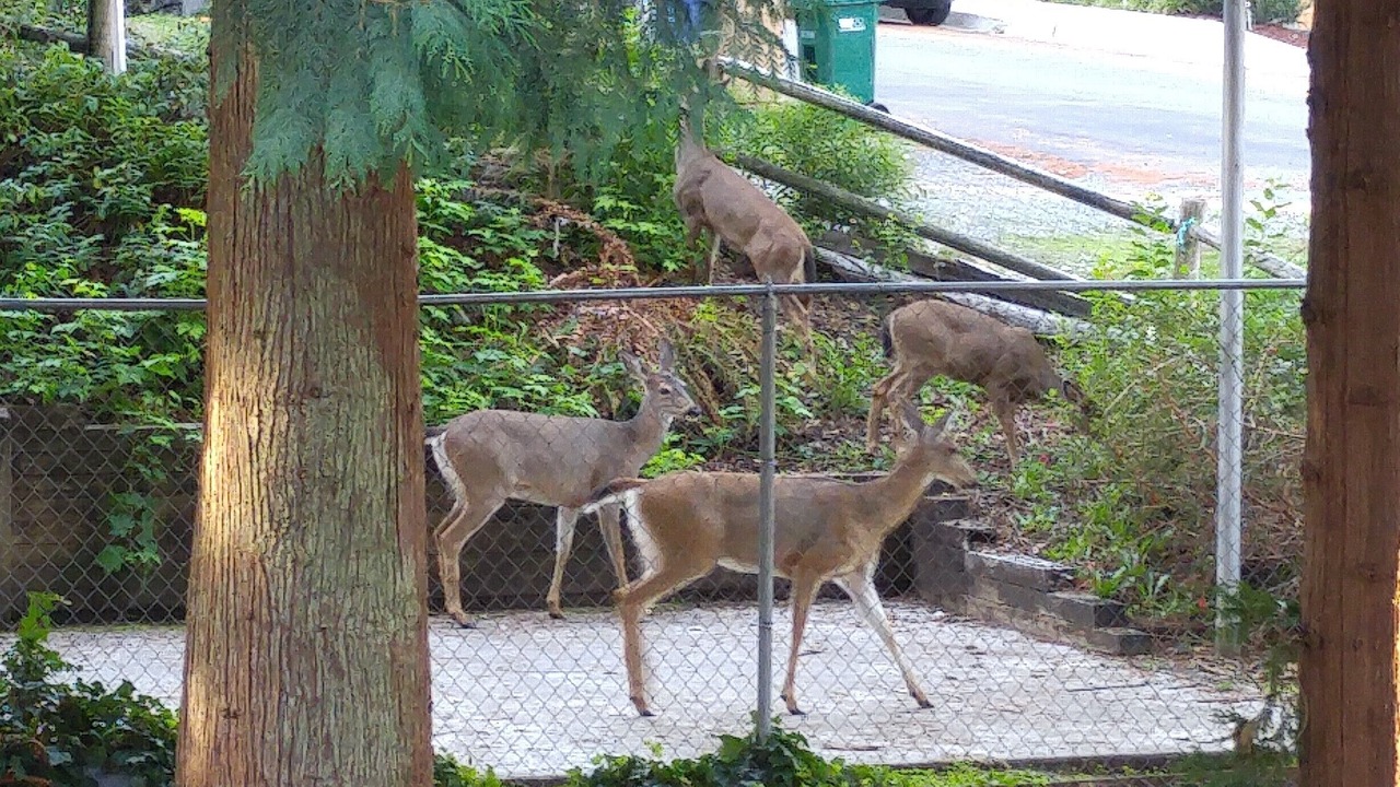Photo of Outdoor in Inglewood