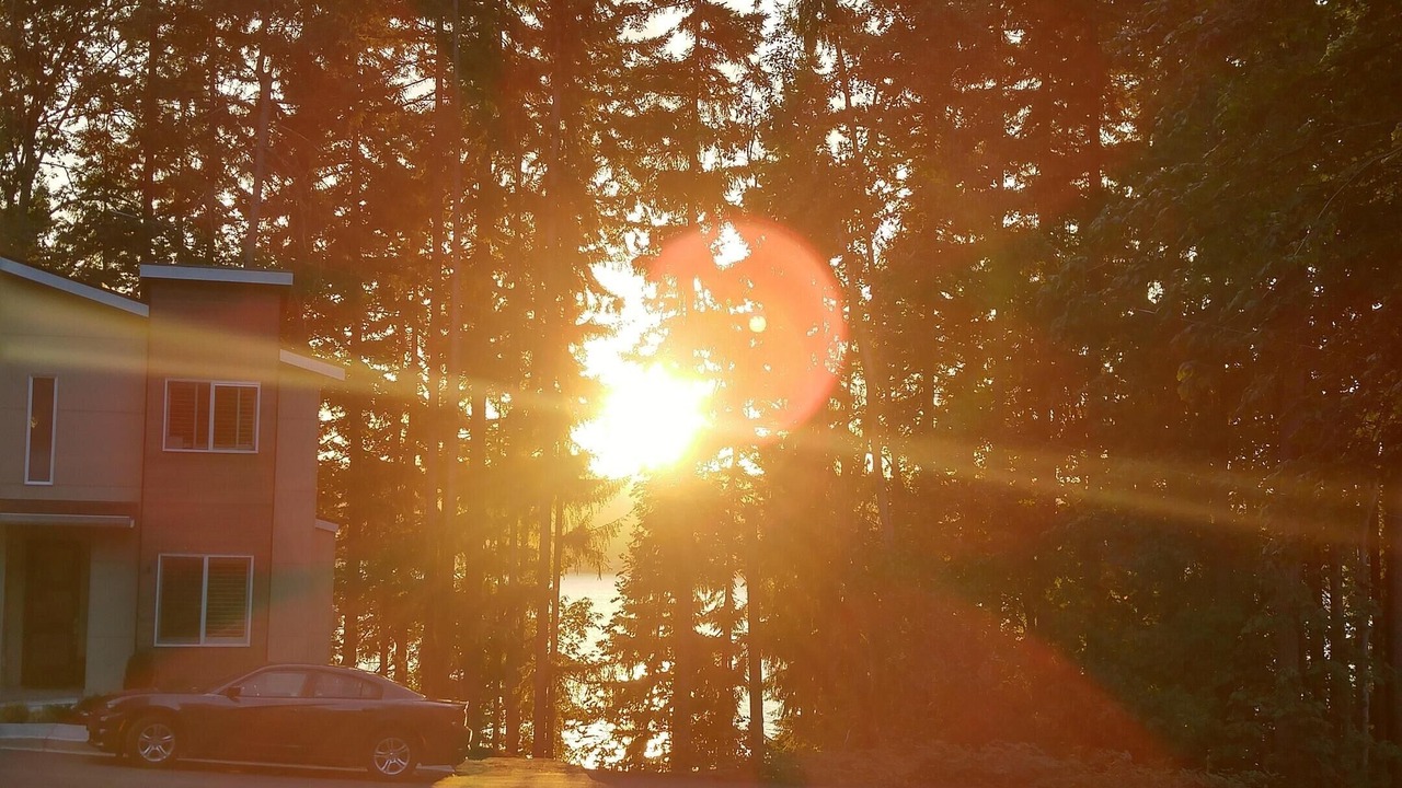 Photo of Outdoor in Inglewood
