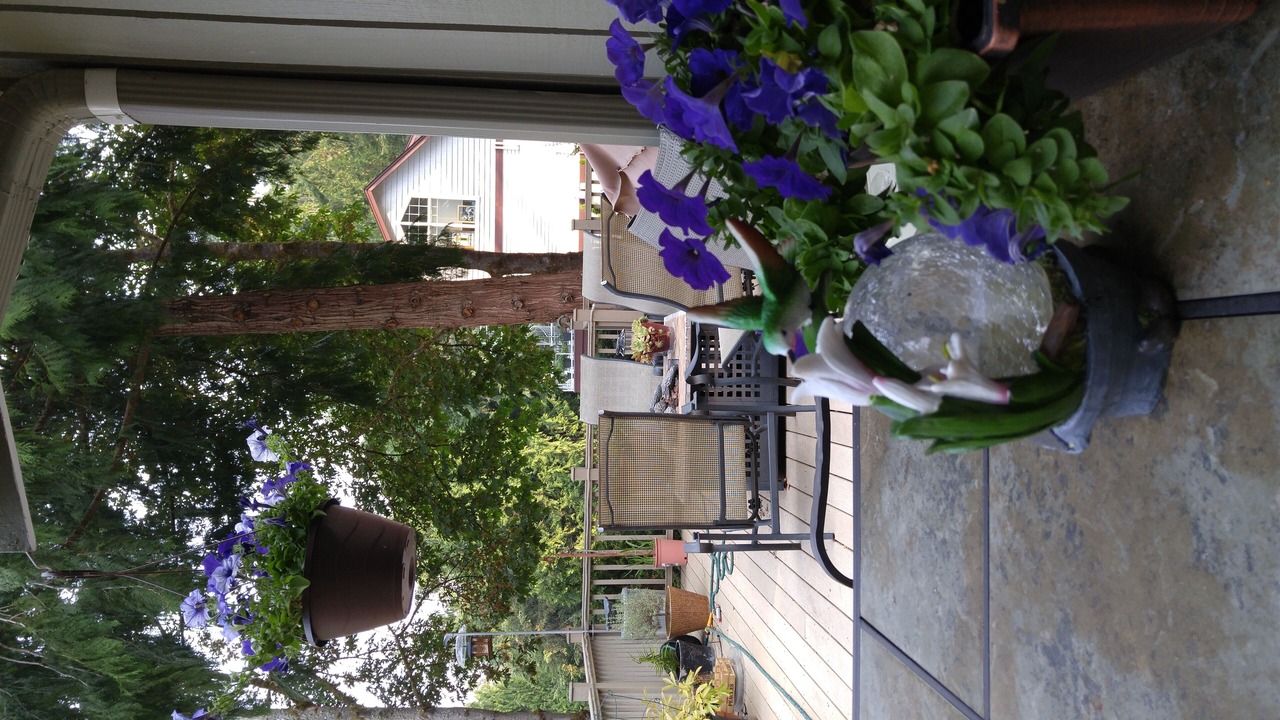 Photo of Patio Balcony in Inglewood