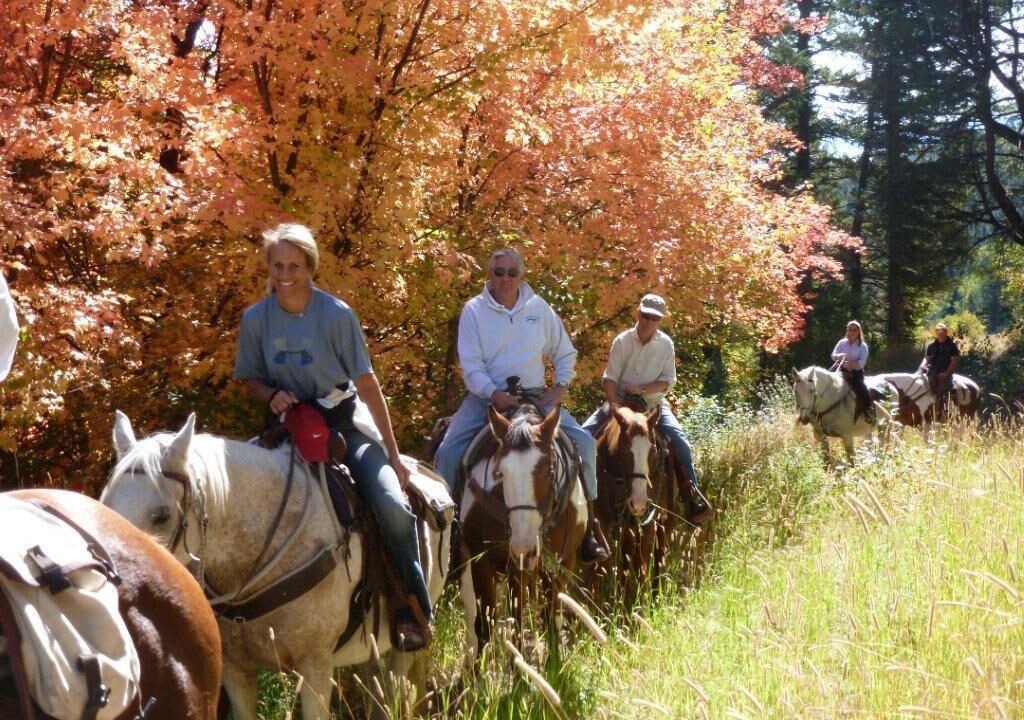Photo of Others in Alpine