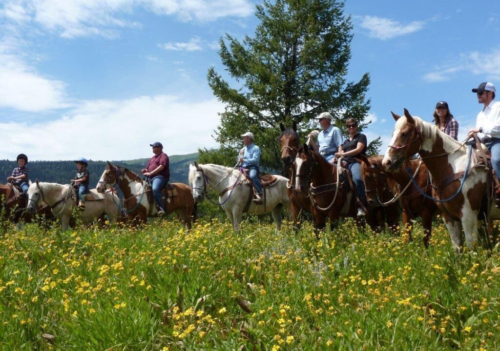Photo of Others in Alpine