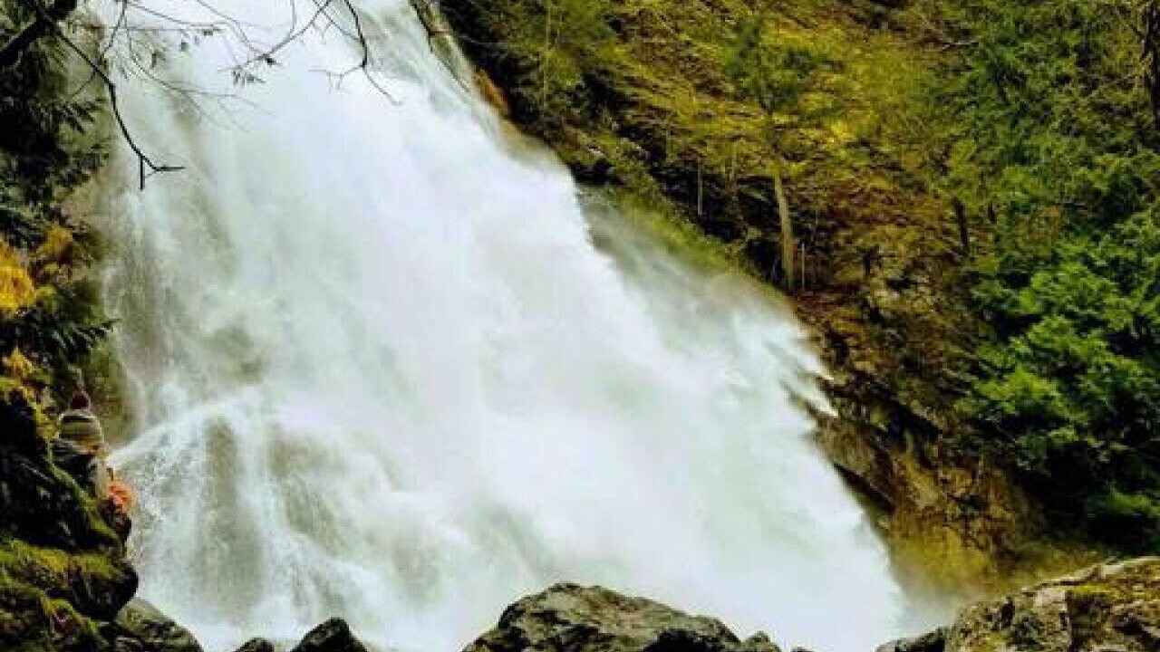 Photo of Outdoor in Brinnon