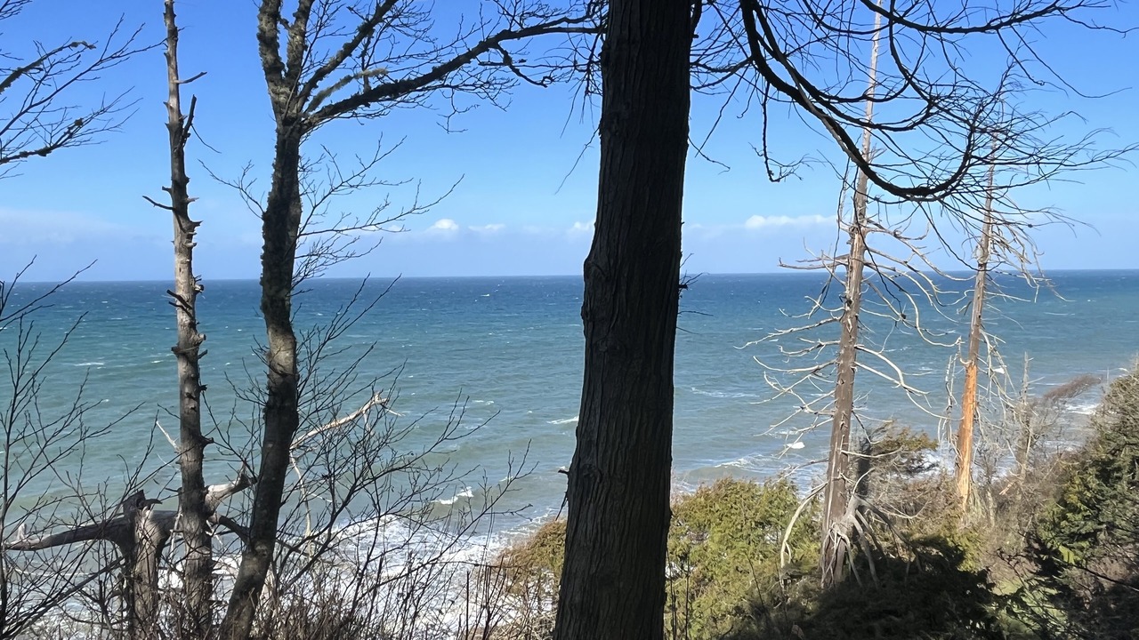 Photo of Others in Port Angeles