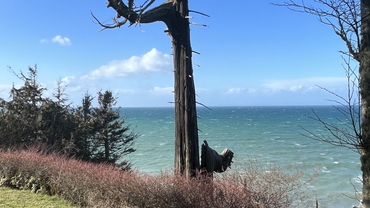 Photo of Others in Port Angeles