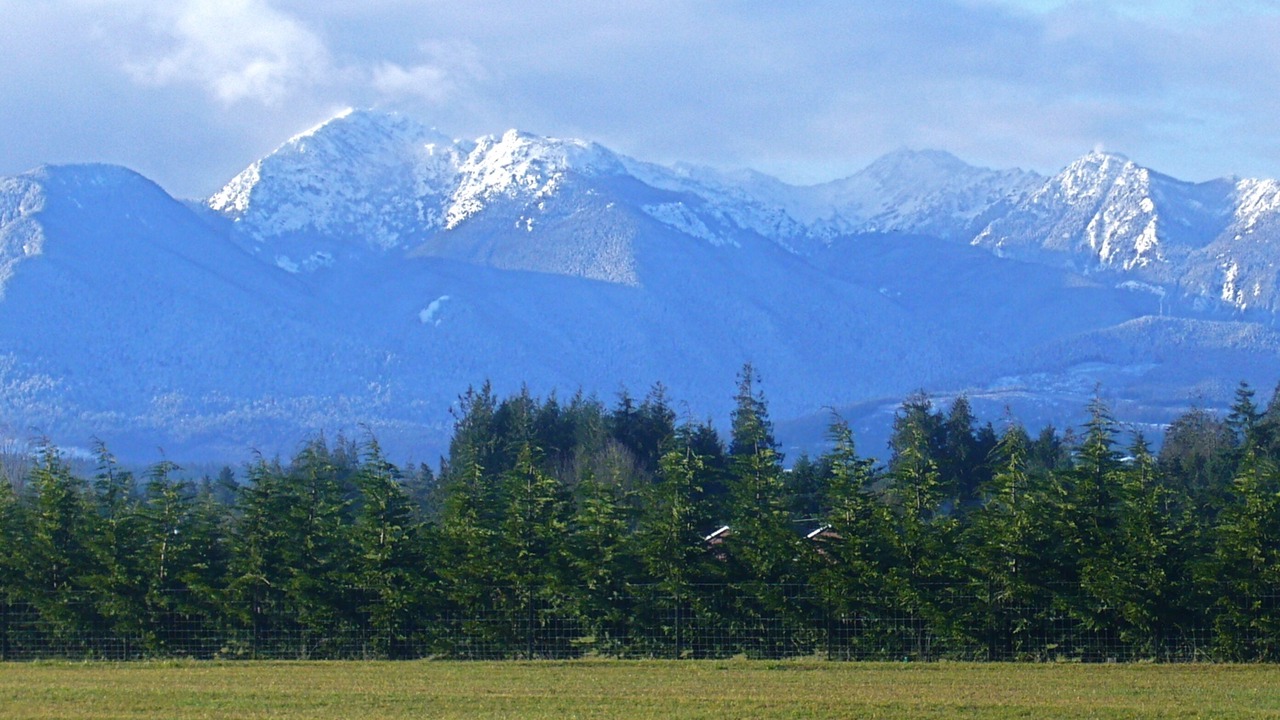 Photo of Others in Port Angeles