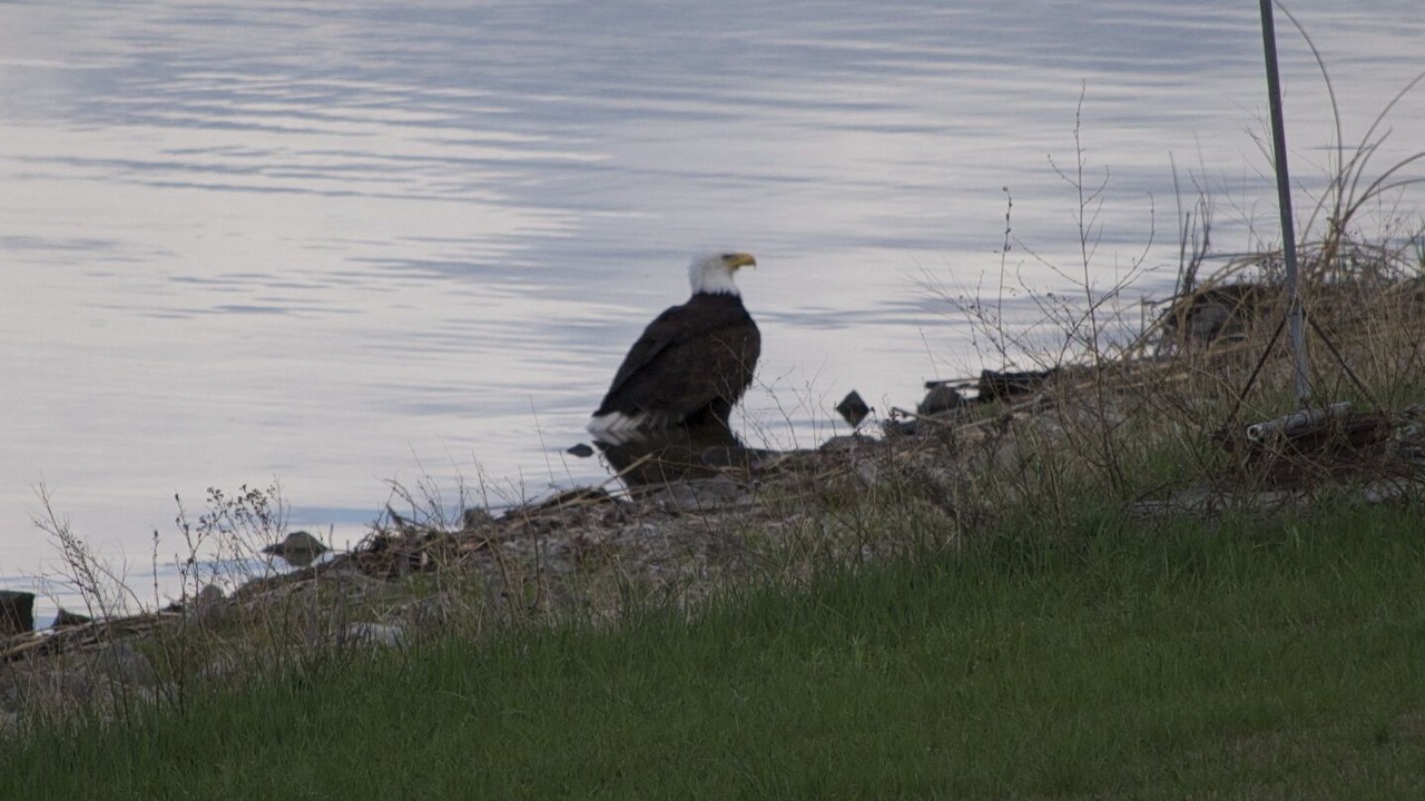 Photo of Others in Oroville