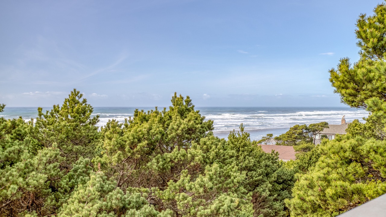 Photo of Others in Seal Rock