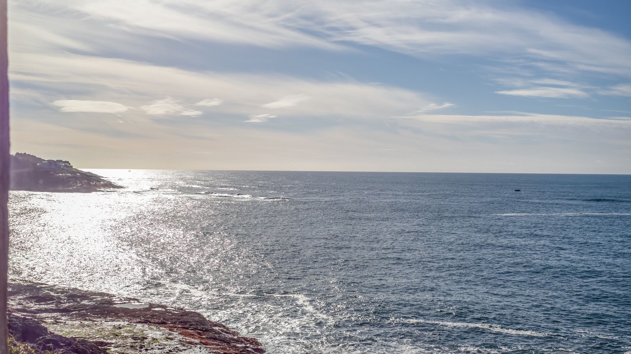 Photo of Others in Depoe Bay
