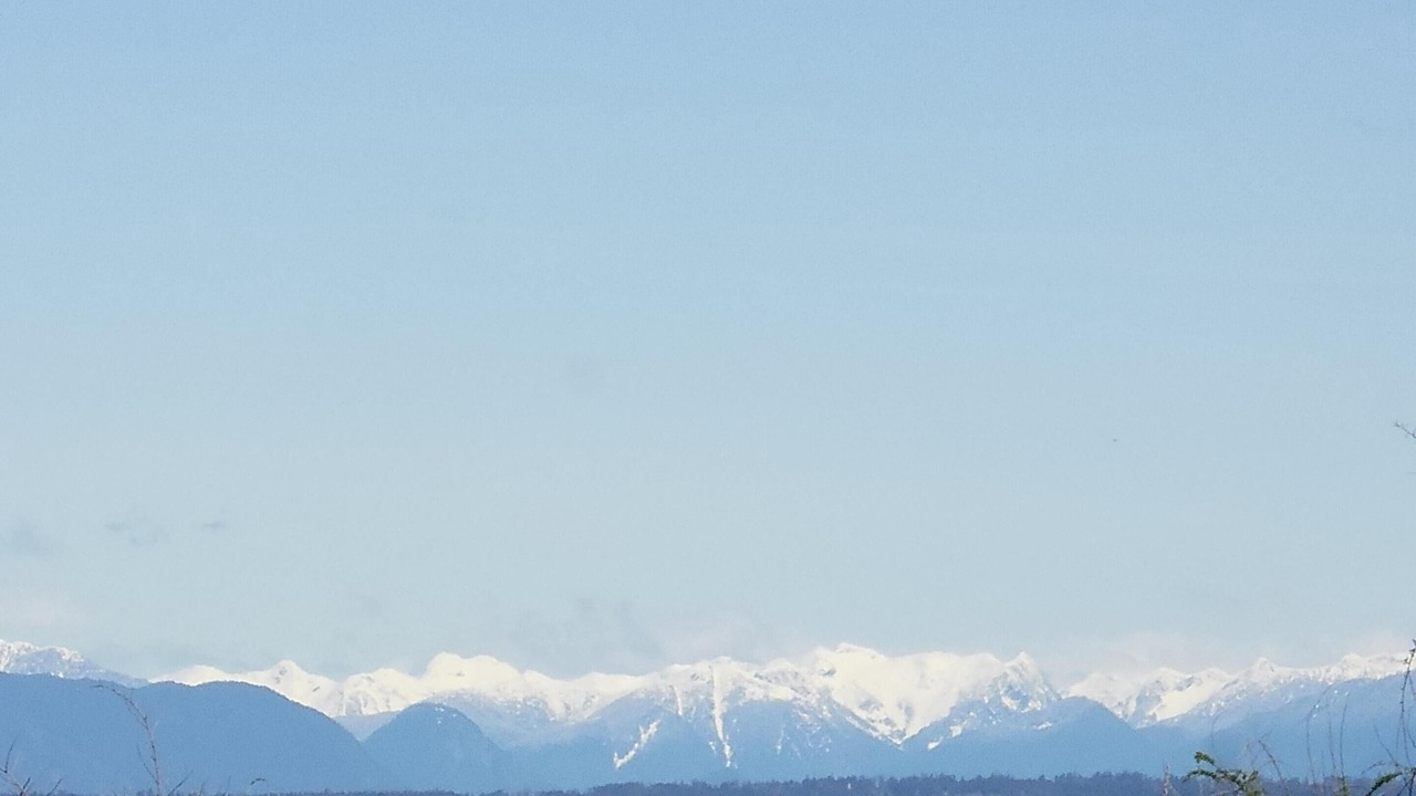 Photo of Others in Point Roberts
