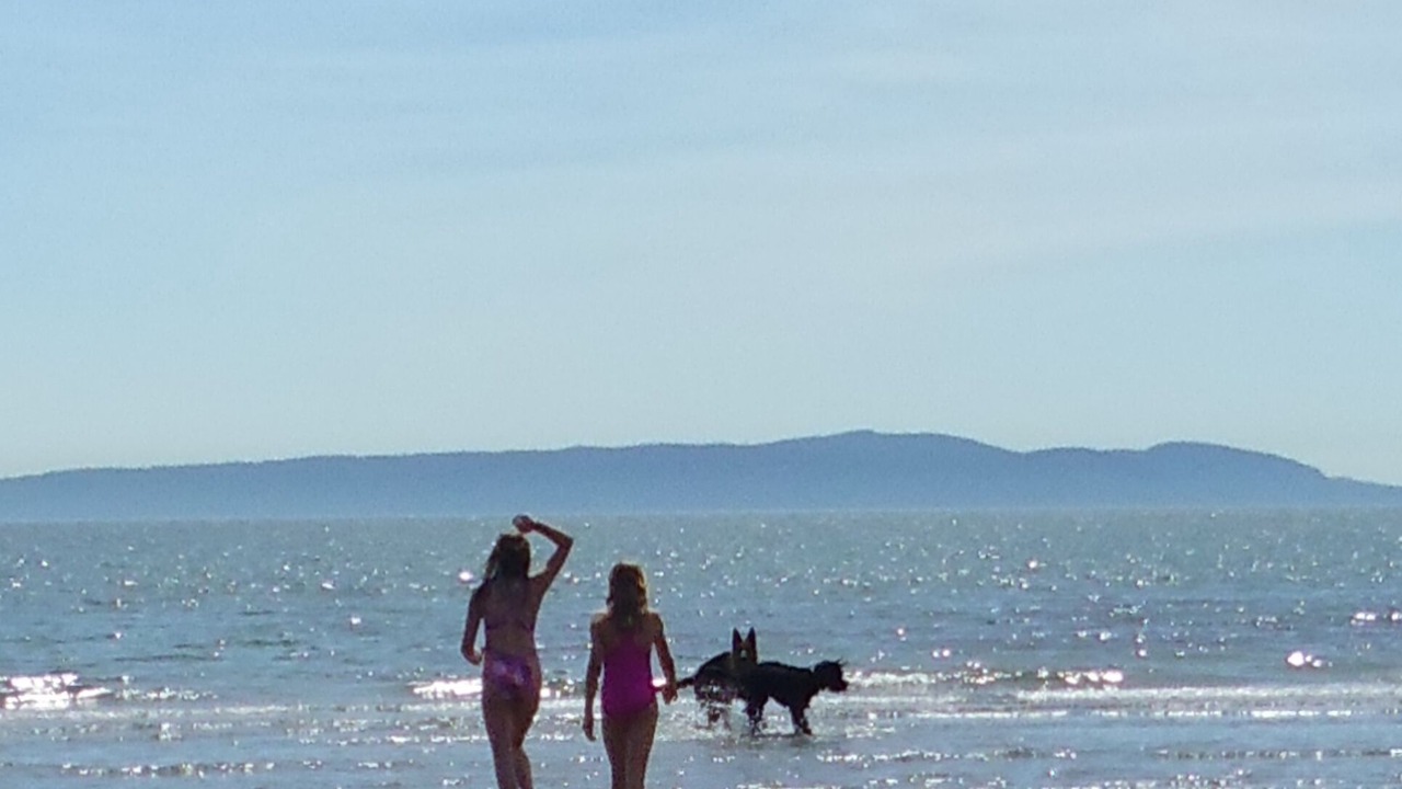 Photo of Others in Point Roberts