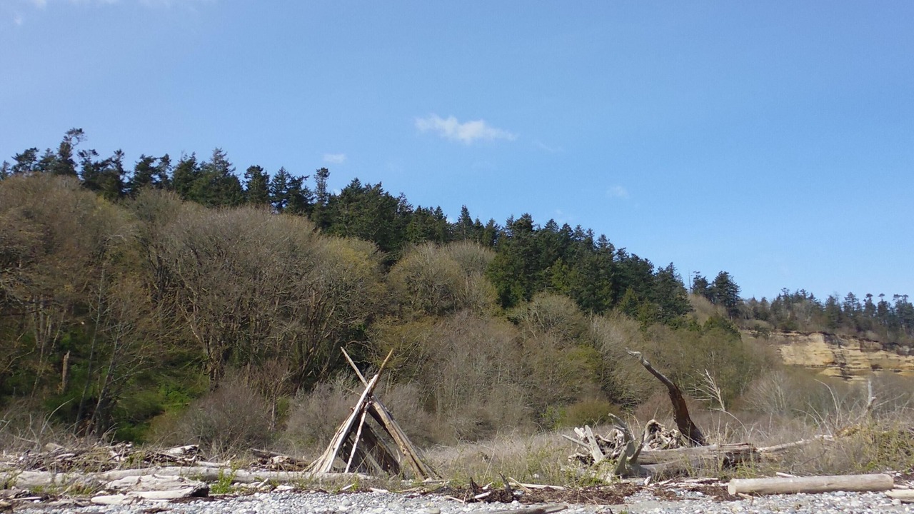 Photo of Others in Point Roberts