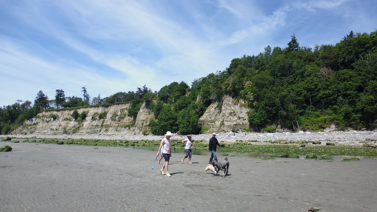 Photo of Others in Point Roberts
