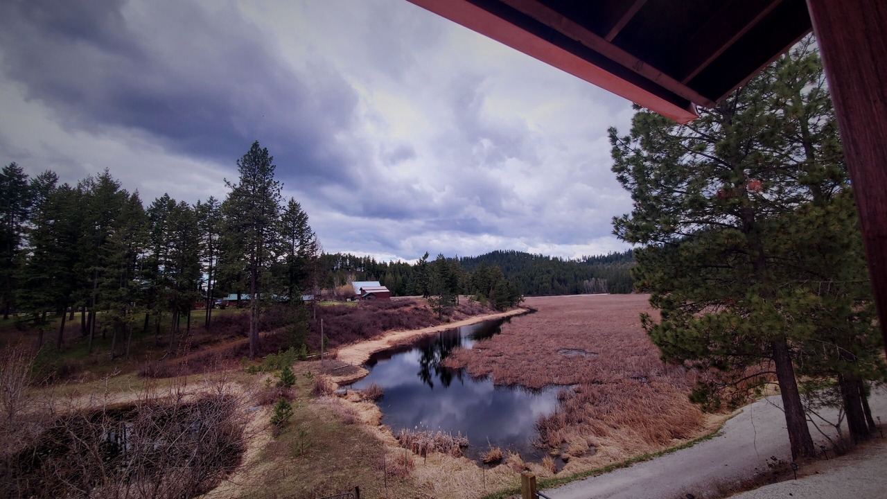 Photo of Others in Loon Lake