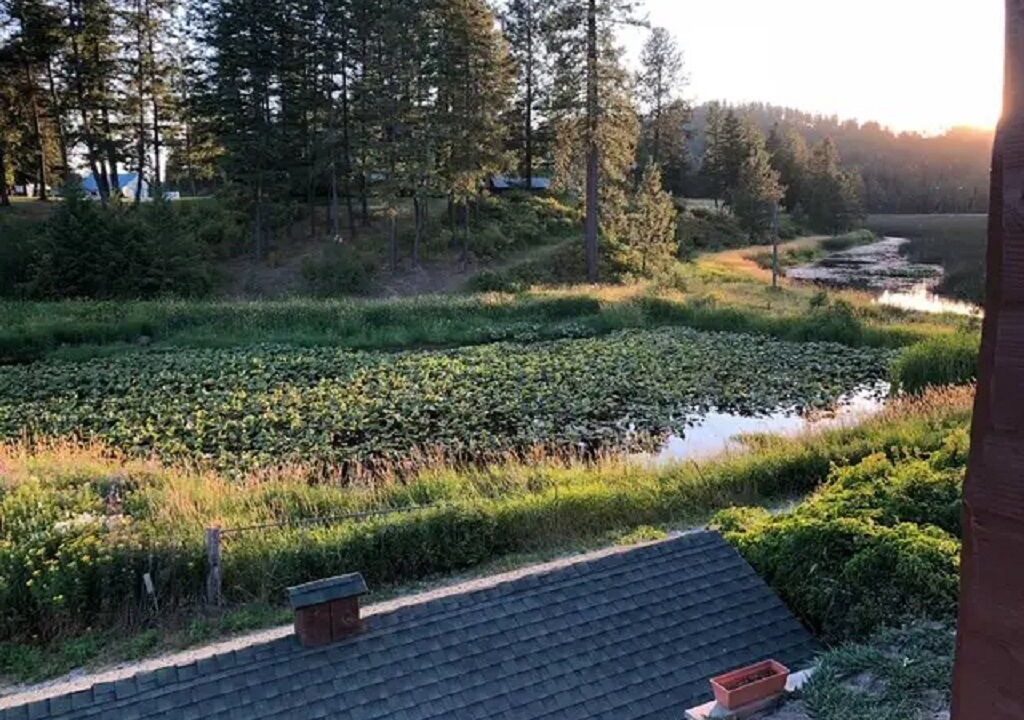 Photo of Outdoor in Loon Lake