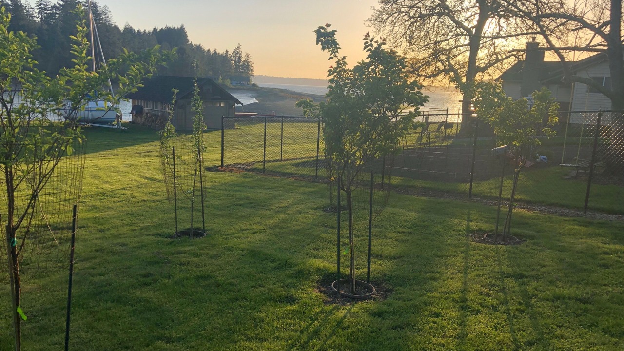Photo of Outdoor in Anderson Island