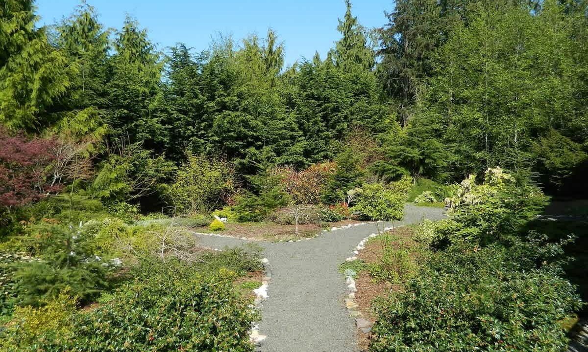Photo of Outdoor in Port Angeles