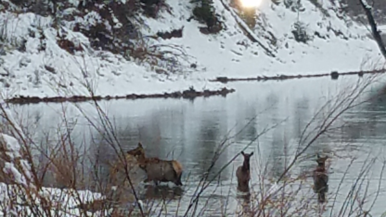 Photo of Outdoor in Jackson