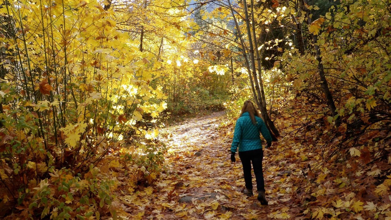 Photo of Others in Leavenworth