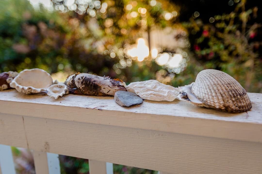Photo of Others in Home