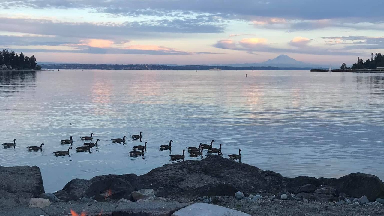 Photo of Others in Bainbridge Island