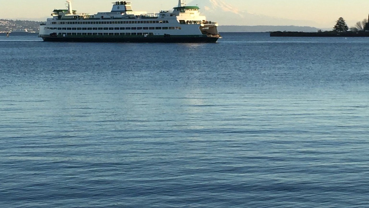 Photo of Others in Bainbridge Island