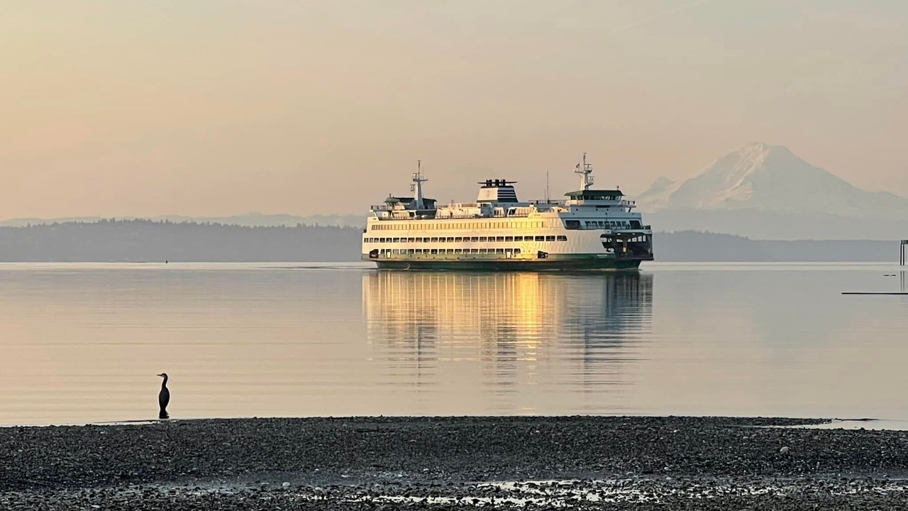 Photo of Others in Bainbridge Island