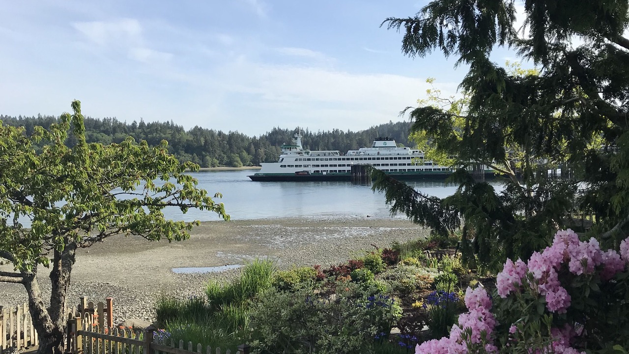 Photo of Outdoor in Bainbridge Island