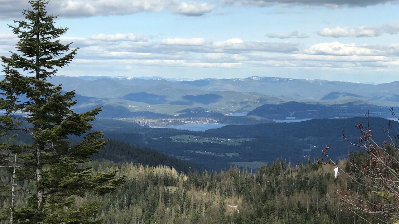 Photo of Others in Post Falls