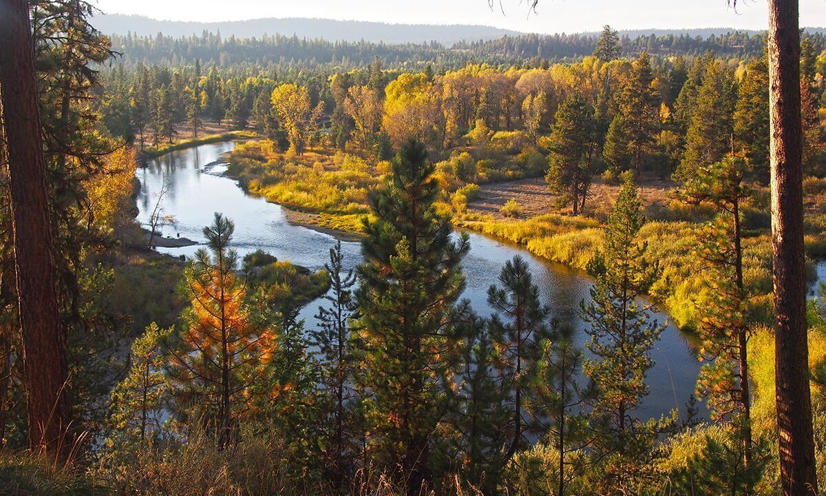 Photo of Others in McCall