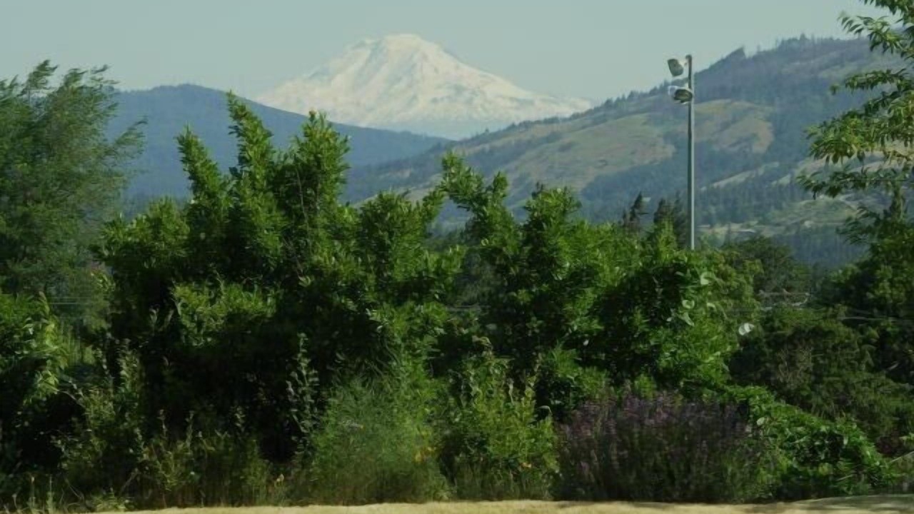 Photo of Outdoor in Hood River